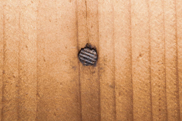 木製の壁に釘をクローズアップ。茶色の木製のテクスチャ - wood rustic close up nail ストックフォトと画像