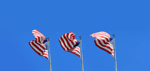 istock American flags hanged at flagpoles in a row 1173071855