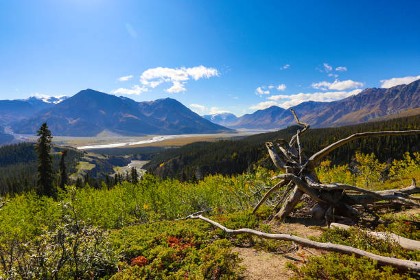 parque nacional de kluane no outono, yukon, canadá - alaska landscape scenics wilderness area - fotografias e filmes do acervo