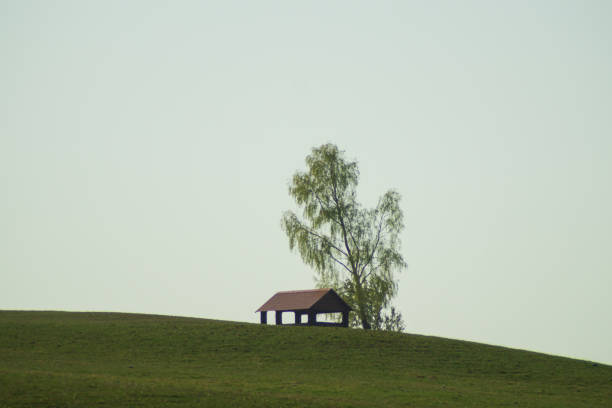  in northwestern Vietnam, is inhabited by ethnic H'mong