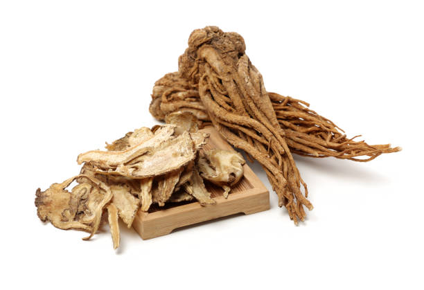 istock Sliced Angelica Sinensis or Dang Gui 1173075185