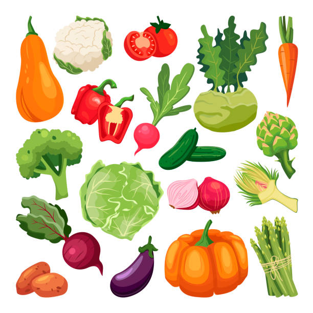 ilustrações de stock, clip art, desenhos animados e ícones de farm fresh vegetables set. vector flat cartoon illustration. isolated broccoli, pumpkin, asparagus, artichoke, kohlrabi - kohlrabi