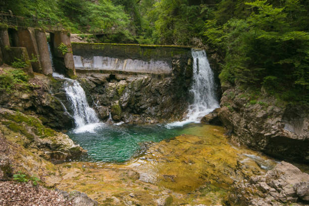 istock Beautiful waterfall at Vintgar gorge in Slovenia 1173077959