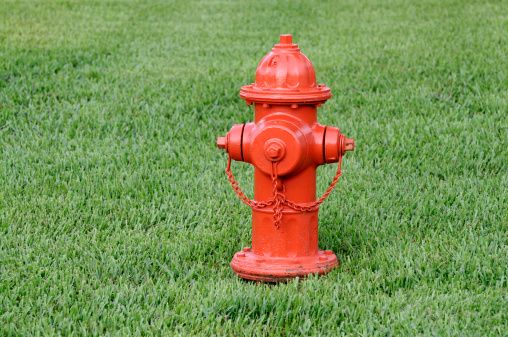 Metal fire hydrant colred in red with fresh green meadow in a public park
