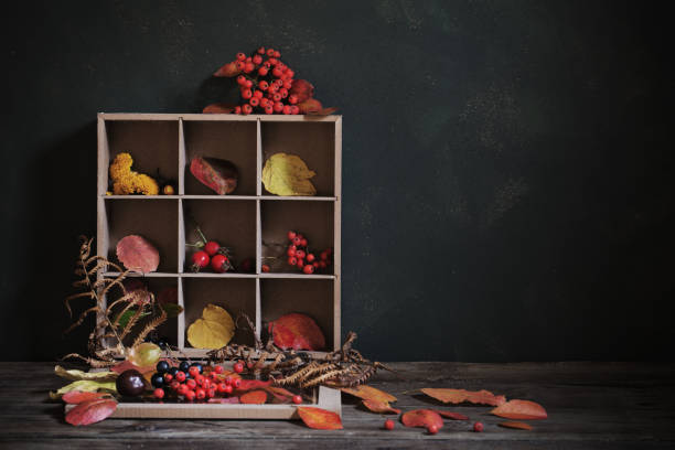 istock autumn background with leaves and berries 1173082262