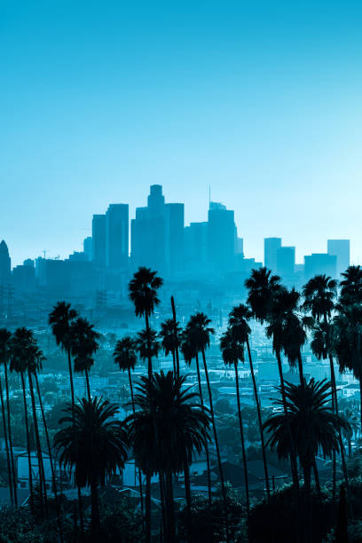istock Los Angeles amazing view over downtown at the blue hour 1173084069