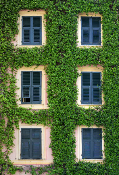 istock Front facade of a building covered in a creeper 1173084311