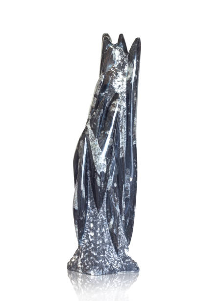 istock Orthoceras crystal natural stone. 1173088219