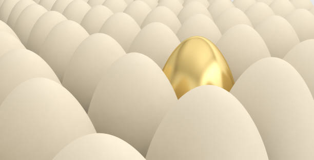 istock egg golden gold different business idea leadership unique 1173089521
