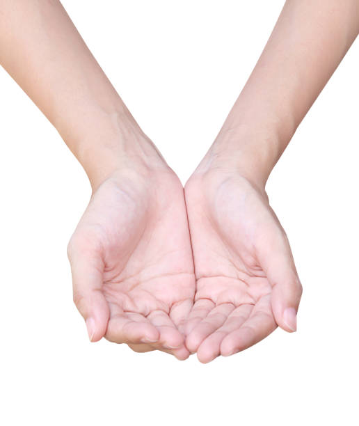 istock Two blank open asian woman hand isolated on white background with clipping path 1173090248