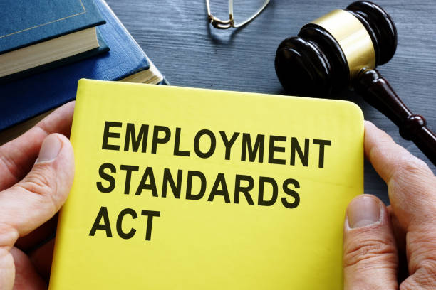 istock Man holds book Employment standards act. 1173091585