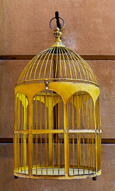 istock A yellow metallic bird cage hanging on the wall 1173092497