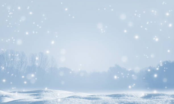 fiocchi di neve lucidi sul paesaggio invernale sfocato - snow festival foto e immagini stock