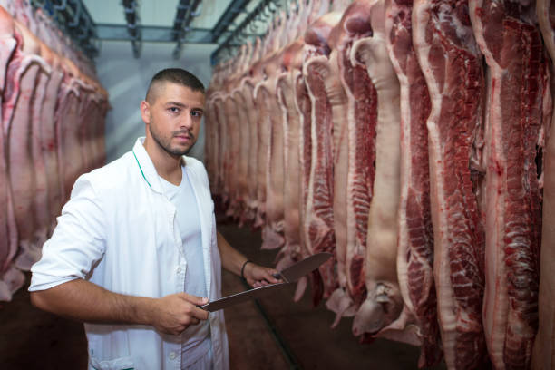 食肉生産を扱う屠殺場の肉屋。 - meat handling ストックフォトと画像