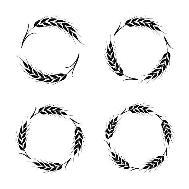 Ears of wheat Stylized ears of wheat. Border frames, circular shapes. Vector design elements isolated on a white background. two objects vegetable seed ripe stock illustrations