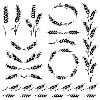 Stylized ears of wheat. Border frames, dividing lines and different shapes. Vector design elements isolated on a white background.