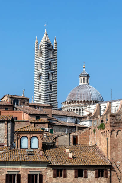 the bell tower and the dome of the cathedral of siena - religion christianity bell tower catholicism imagens e fotografias de stock