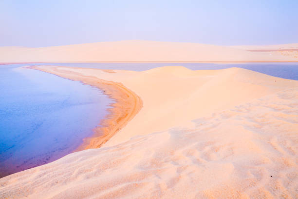 istock Desert at sunrise. 1173099972