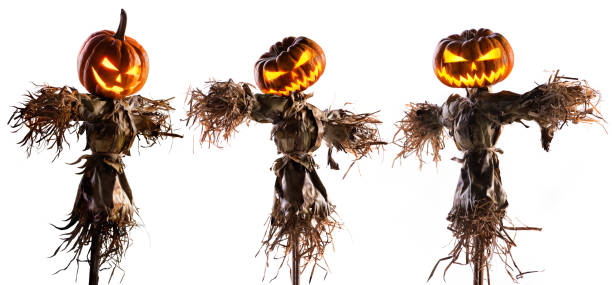 halloween pumpkin scarecrow isolated on white background halloween pumpkin scarecrow isolated on white background. monster back lit halloween cemetery stock pictures, royalty-free photos & images