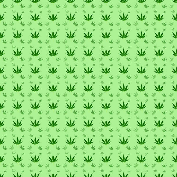 istock marijuana or cannabis leaves seamless background pattern wallpaper 1173105187