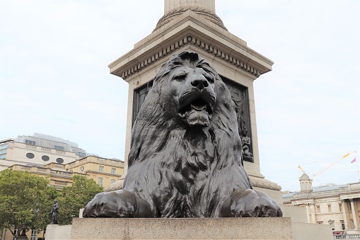Nelson's Column at Trafalgar Square, built in 1843 in honor of Admiral Horatio Nelson, London, United Kingdom, August 25, 2019