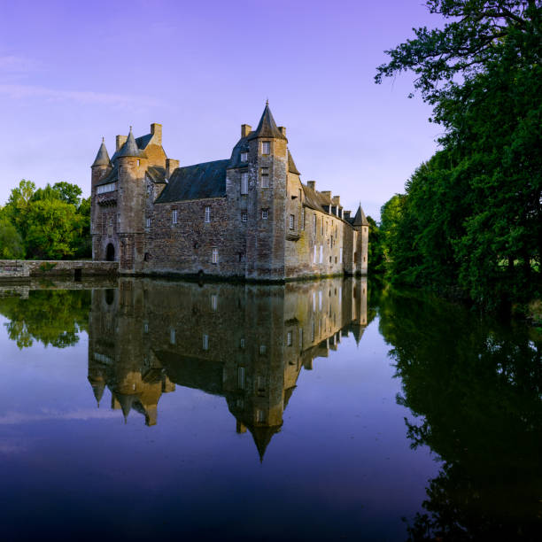 Trecesson Castle reflected in the pond and surrounded by forest Campeneac, Brittany / France - 26 August 2019: Trecesson Castle reflected in the pond and surrounded by forest foret de paimpont stock pictures, royalty-free photos & images