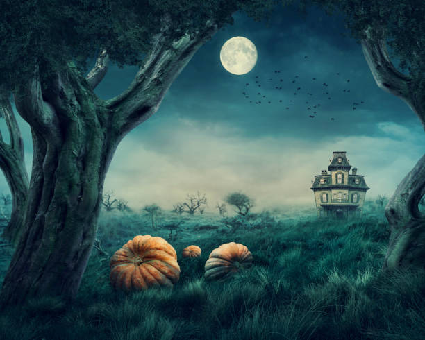 haunted house - cemetery halloween moon spooky imagens e fotografias de stock