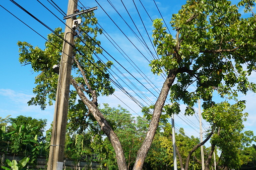 Cable, Street Light, Power Cable, Power Line, Street