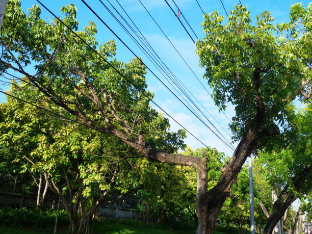 istock High voltage power lines in a nature area 1173109480