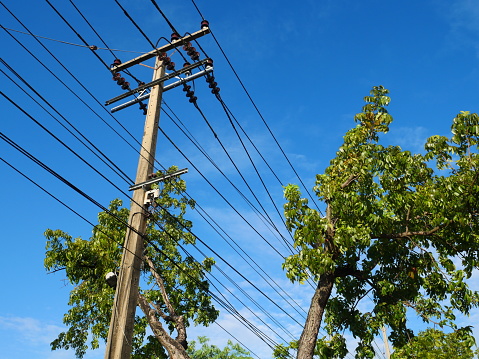 Power Line, Cable, Tall - High, Tree, Wire