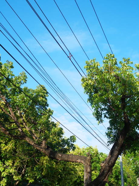 istock Electricity pylon and line near tree 1173109562