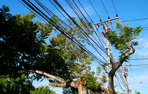 Power Line, Cable, Leaf Vegetable, Steel, Thailand