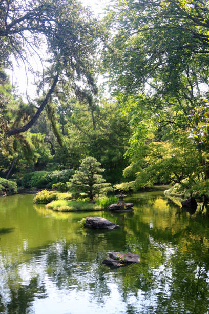 istock Serene, peaceful large trees with pond and sun illuminating the water 1173110918