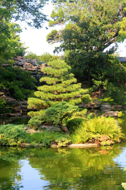 istock Serene, peaceful large trees with pond and sun illuminating the water 1173110934