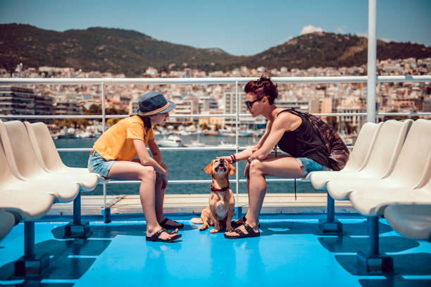 Mother and daughter sitting on the deck of a ferry with a dog Mother and daughter sitting on the deck of a ferry with a small brown dog on a sunny hot day ferry deck girls stock pictures, royalty-free photos & images