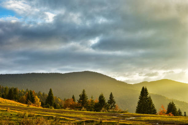 istock Golden sunset over mountain forest 1173116084