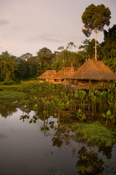 istock Ecolodge off the Pastasa river Ecuador South America 1173116174
