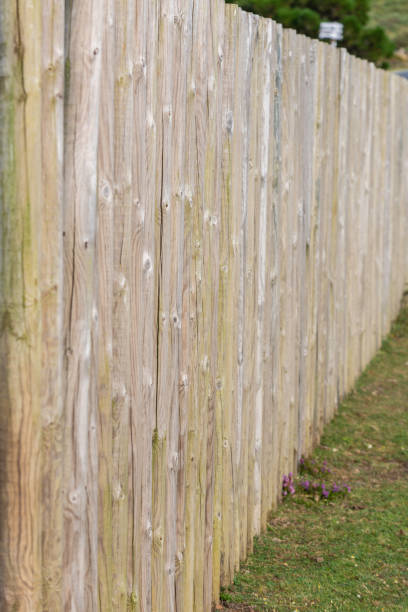 istock Wooden stacks in a row. 1173117240