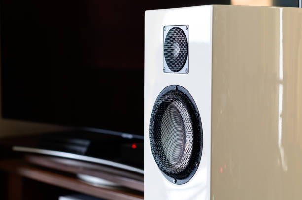 istock Hi-end audio speakers system background with copy space 1173119684