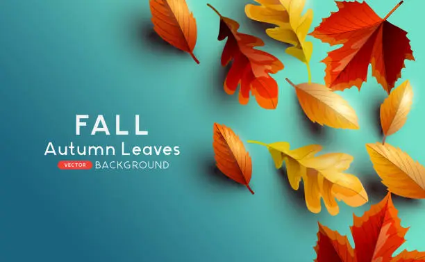 Vector illustration of Autume Fall Leaves Background Design