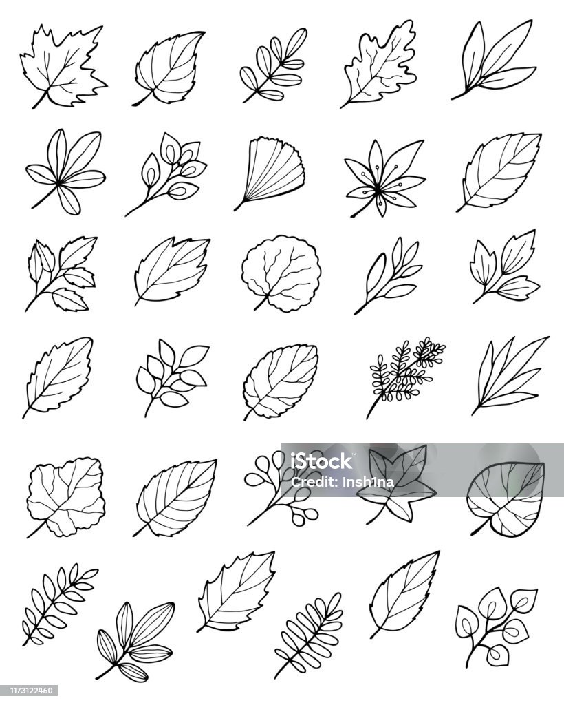 large set of hand drawn doodle autumn leaves hand drawn doodle autumn leaves set Leaf stock vector