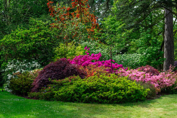 istock Beautiful Garden with blooming trees during spring time 1173125173