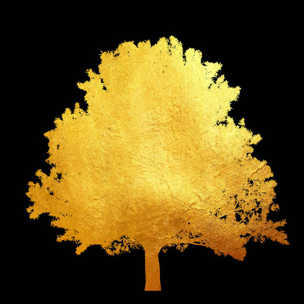 istock Golden tree with leaves isolated on black background. 1173128862