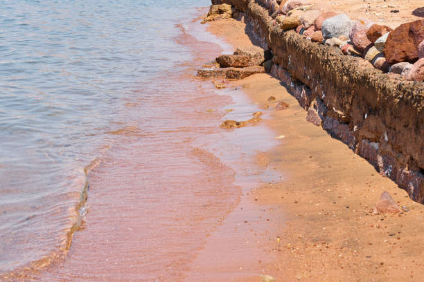 istock Sea or ocean waves on a stone coast beach 1173130237