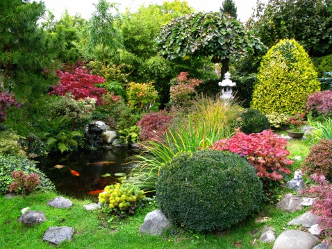 Scenic view of Japanese garden with koi-pond
