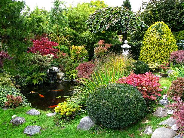 Scenic view of Japanese garden with koi-pond Japanese garden with koi-pond water garden stock pictures, royalty-free photos & images