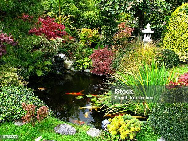 Japanischer Garten Mit Koiteich Stockfoto und mehr Bilder von Wassergarten - Wassergarten, Teich, Gartenanlage