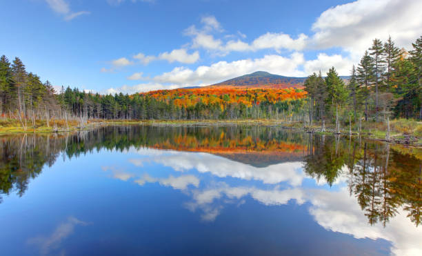 istock Small pond in the White Mountain National Forest 1173133538