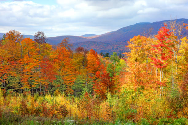istock Peak fall foliage in New Hampshire 1173133641