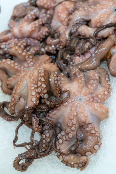 istock Seafood in the store. Octopuses. 1173133720